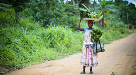 [Cover Photo by Ollivier Girard/CIFOR]