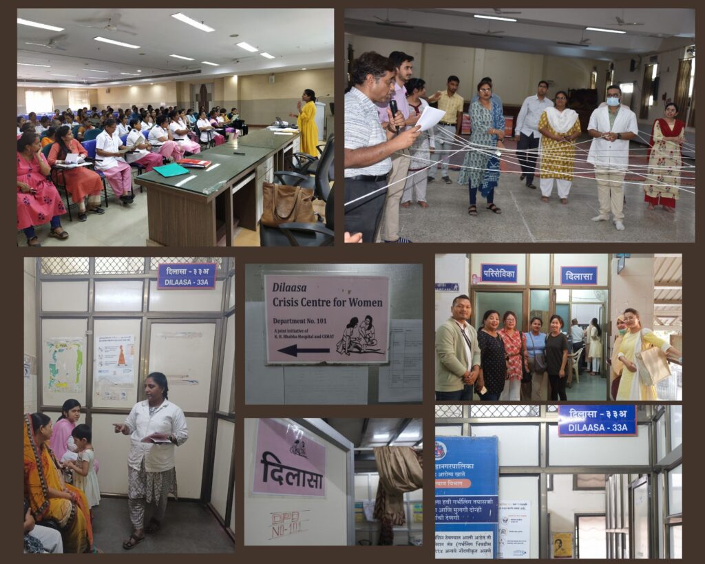 Dilaasa Model Photo Collage